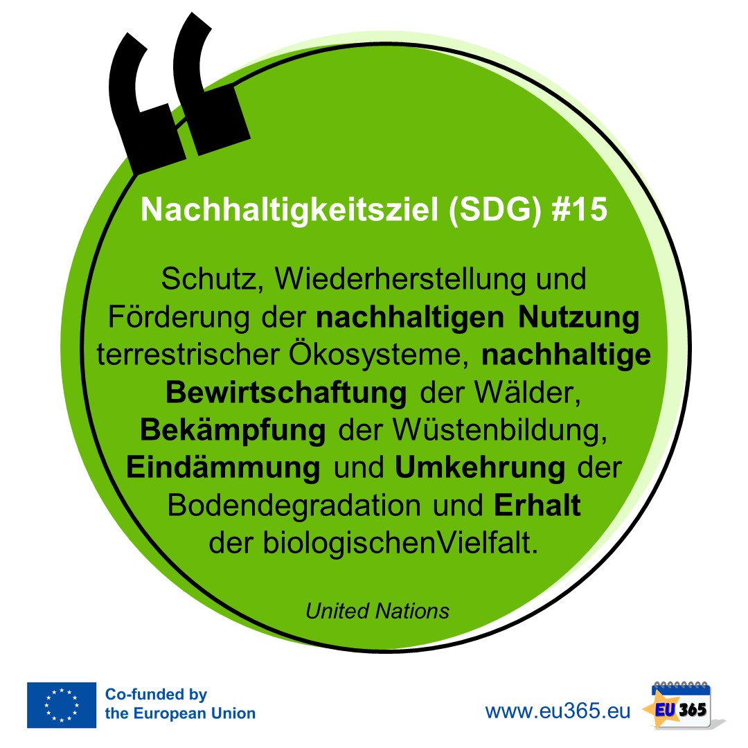 EU365_Key-Message_2022_10_DE-12.jpg