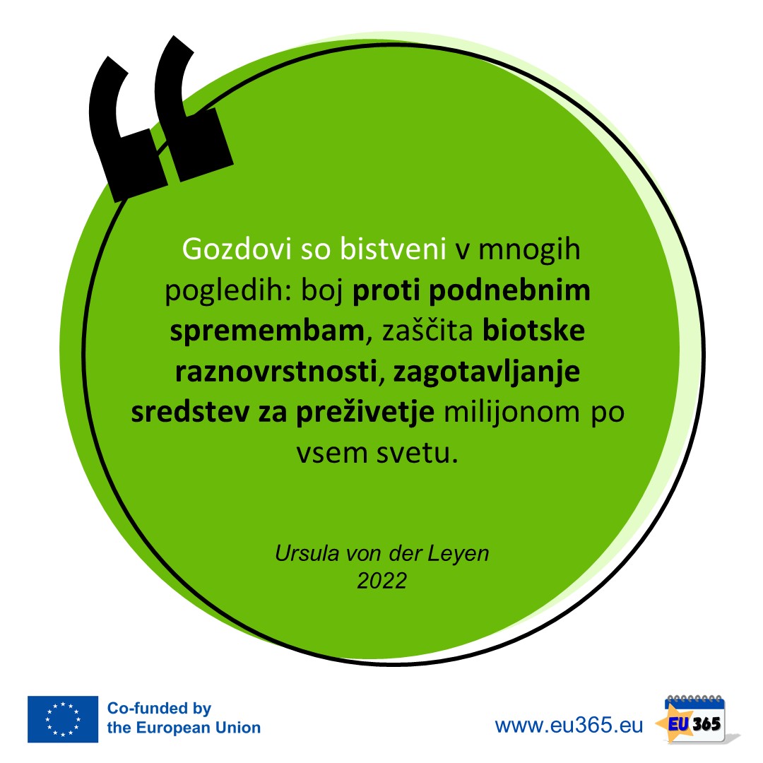 EU365_Key-Message_2022_12_SI-29.jpg